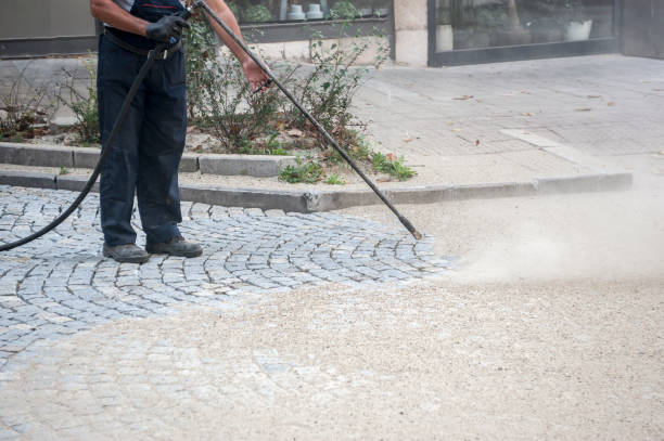 Best Roof Cleaning and Mildew Removal in Fergus Falls, MN